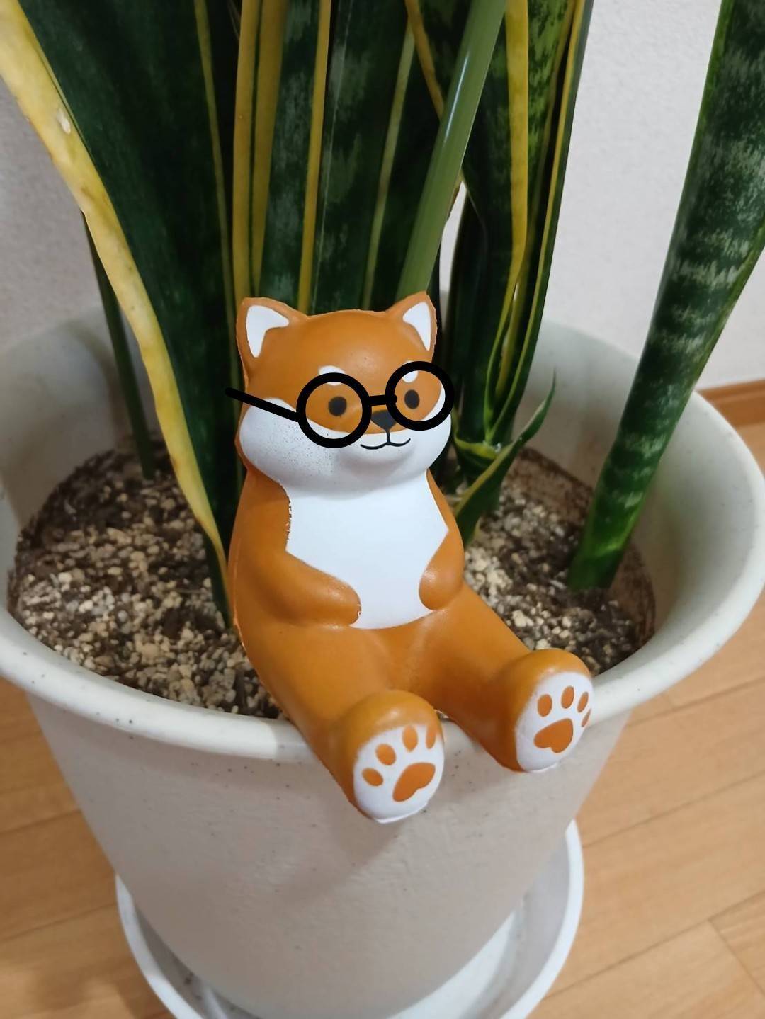 しばまるま～る